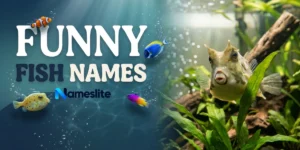 Fish Names Funny 200+ Cute & Hilarious Ideas