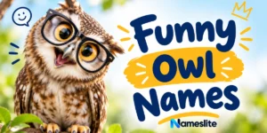 Funny Owl Names 200+ Cute, Hilarious Ideas