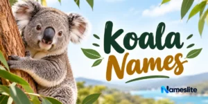 Koala Names: 200+ Cute, Funny & Adorable Ideas